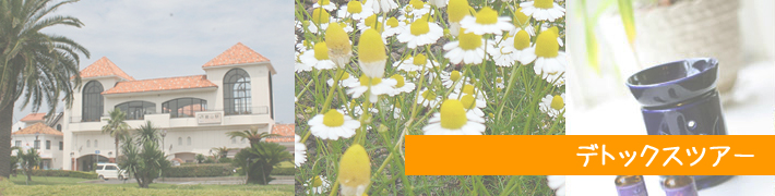 ��[���F�َR�@�y���V�����EBBQ�@B&B Verdure�F���ӂ̊ό����