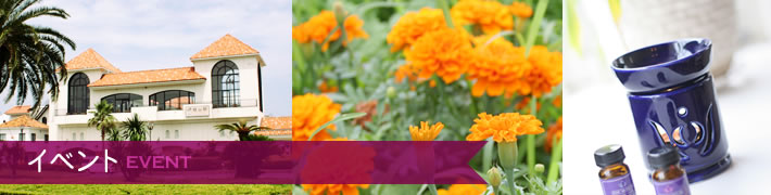 イベント情報