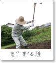 農作業体験